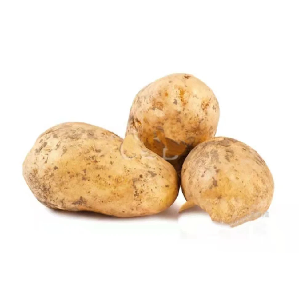 Promotion Price Fresh High Quality Potatoes Chinese Potatoes