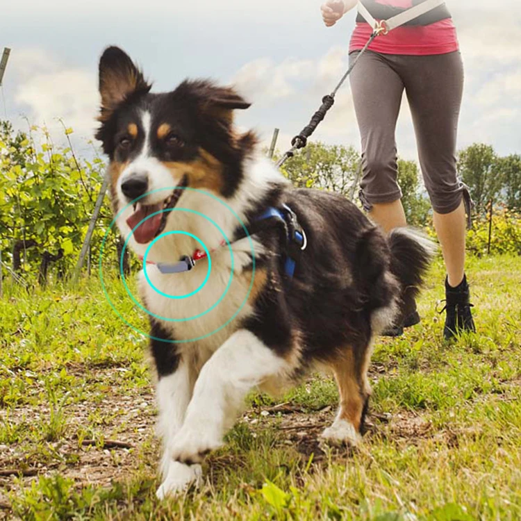 
High quality mini GPS locator for pet cat and dog gps traker BT 