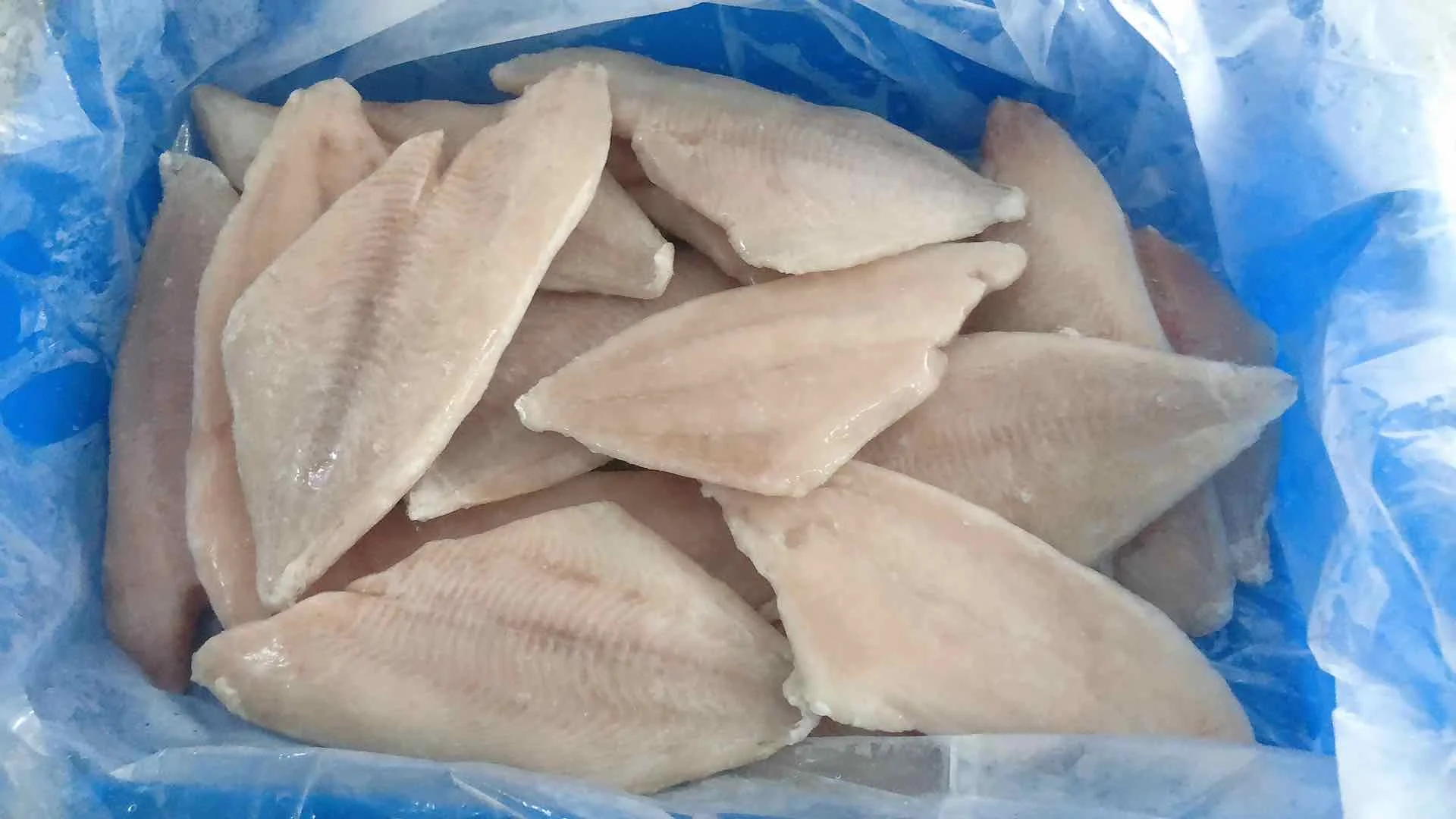 Frozen Brama Fillet With Skinless