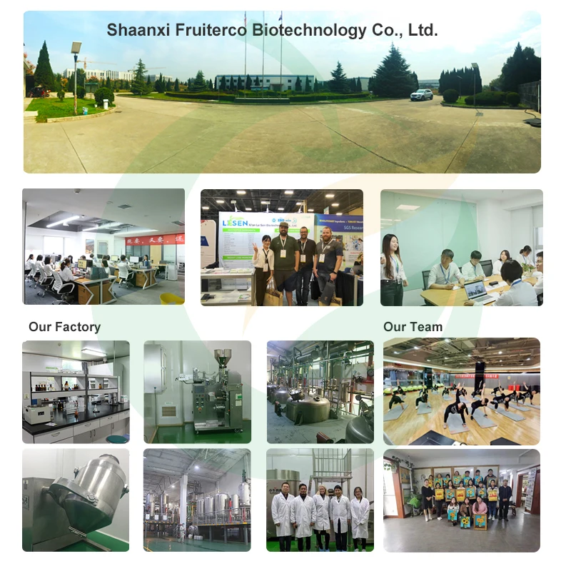 Wholesale bulk supplement magnesium l-threonate magnesium l threonate powder