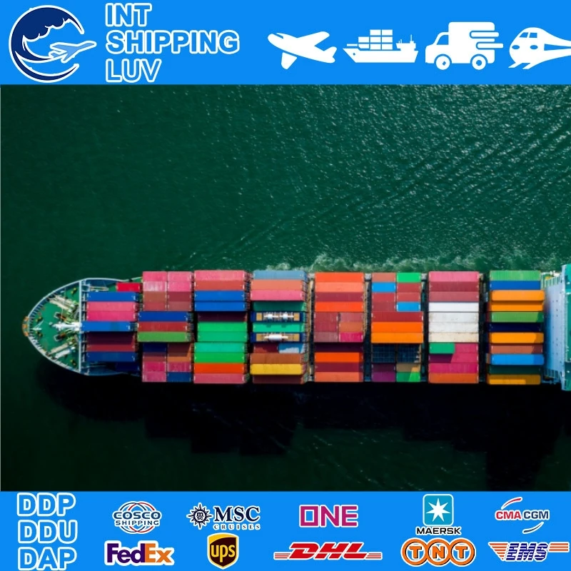 Sea Freight To Saudi Arabia UAE USA Canada South Africa From China Low Price Shipping Forwarding Agent ddp door to door service
