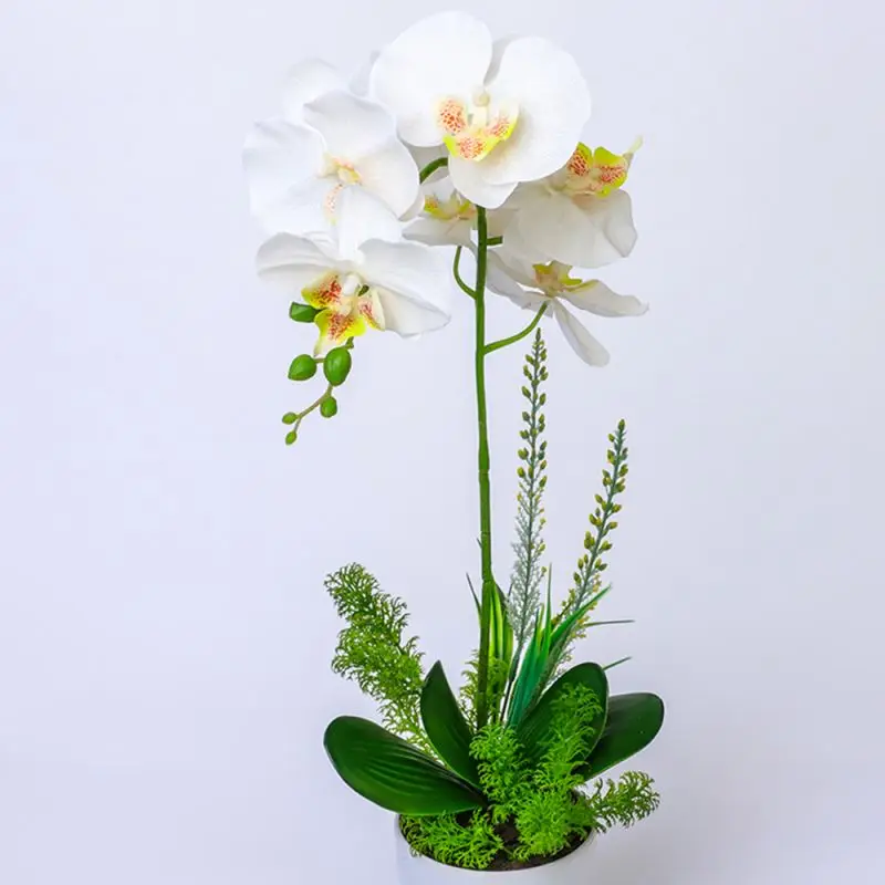 High Quality Neally Natural Orchid Phalaenopsis Flower In White silk Vase Artificial Orchids