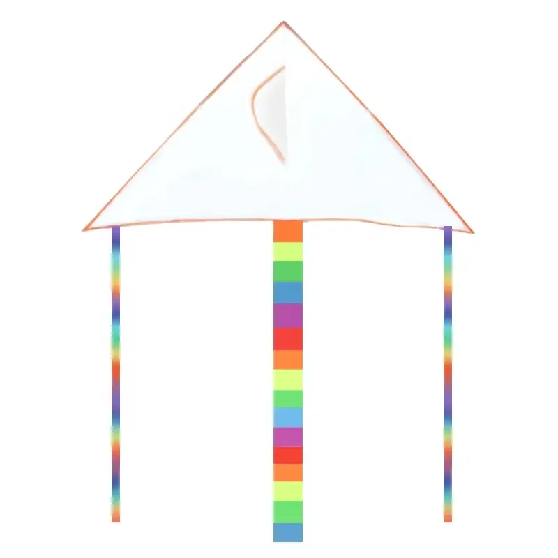 2023 OEM/ODM Custom delta bird kite Drawing Diy kite Animal diamond cheap Drawing flying toy blank duotone kite