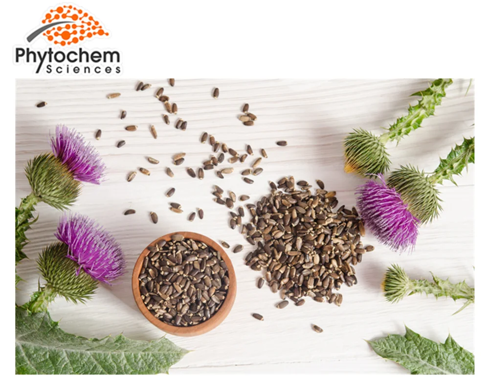 
Cosmetic Plant GMP Certified Water Soluble Bulk DAB10 80 Silymarin Food Supplement Seed Organic Powder Milk Thistle Extract 