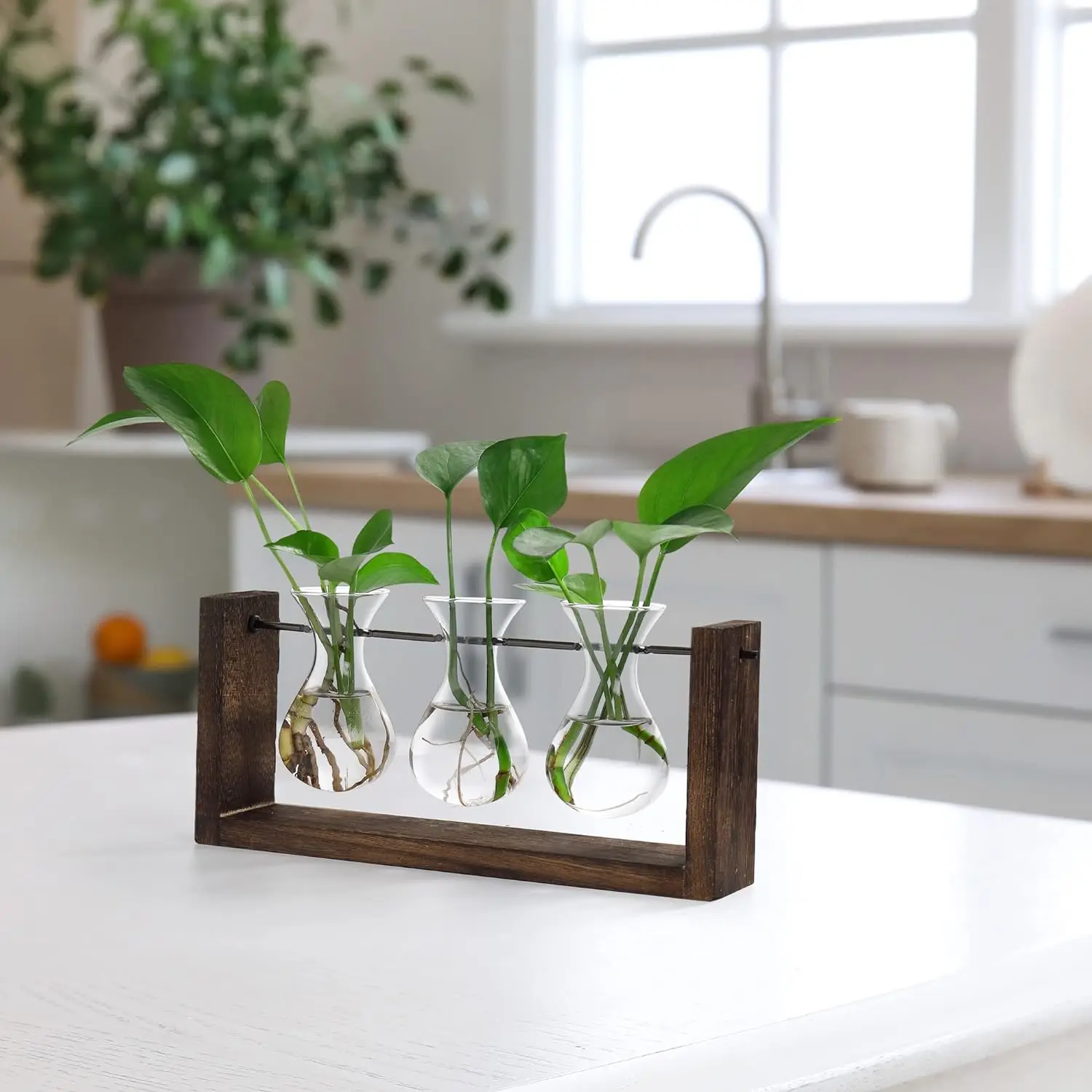 Hydroponics Home Office Decor 3-Vase Wooden Stand Wall Hanging Glass Planter Tabletop Terrarium Propagation Stations