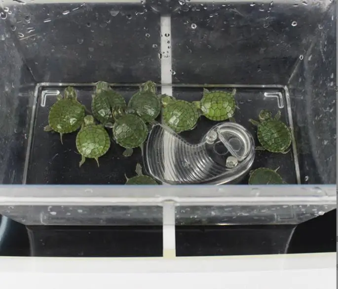 Pet Reptile Heating Pad Temperature Control Turtle Temperature Control Pad Heating Blanket Aquariums&Accessories Pet Heating Pad