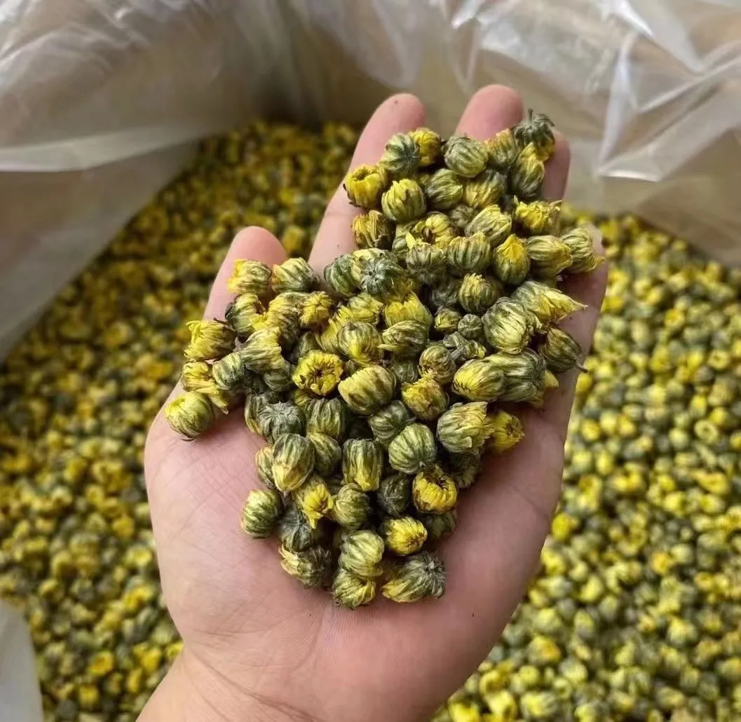 Chrysanthemum Buds Tai Ju Herb Tea Flower High Quality Chrysanthemum Flowering Tea