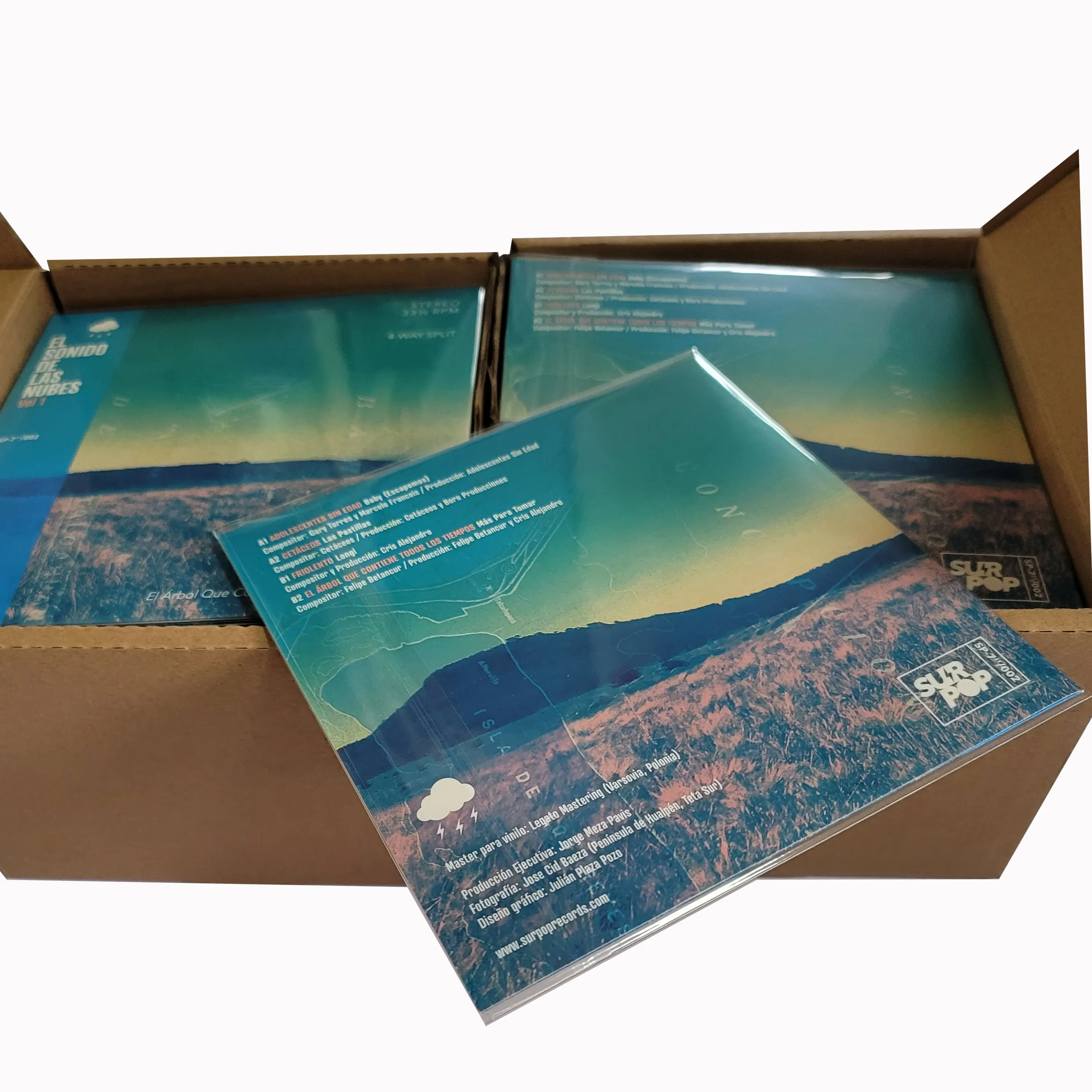 Cheap Music Record Vinyl In Jacket Custom Vinyls Records Cover Blank Vinyl Records