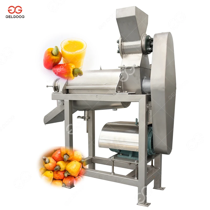 Hot Sale Best Price Making Press Cashew Apple Juice Machine