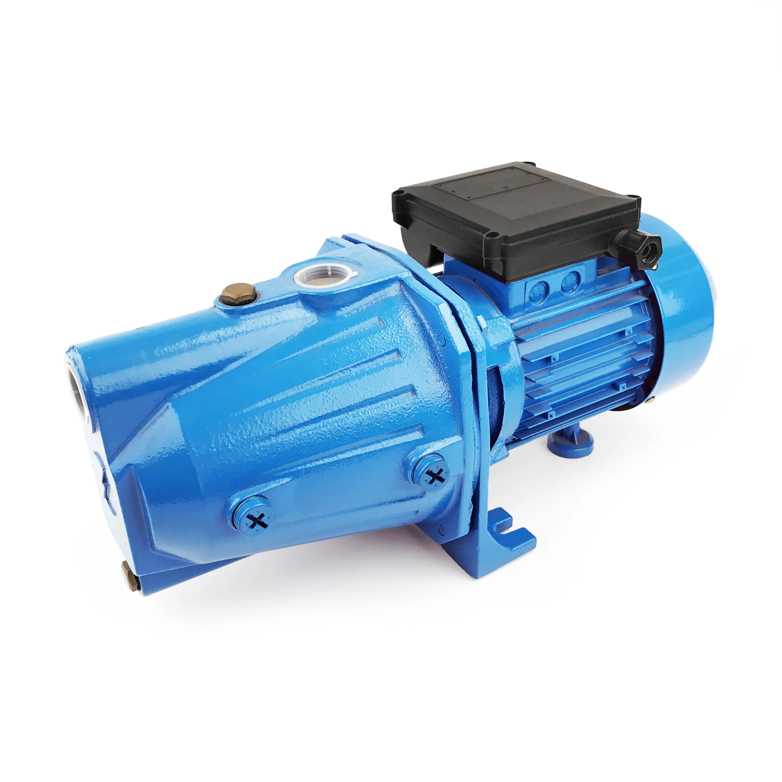 DACHENG High Quality JET100L Electric Motor Liquid Pump Pumps OEM Auto Power JET pump