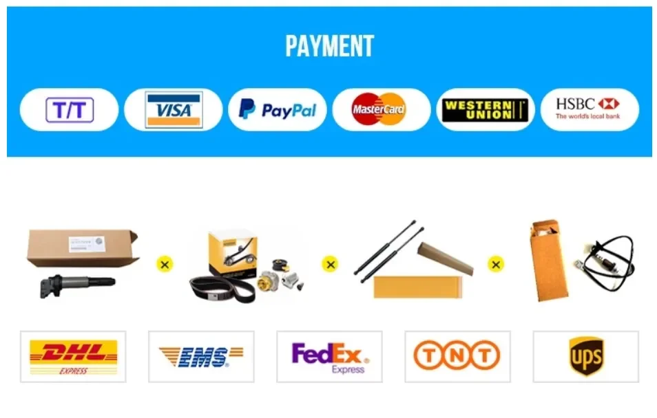 paste-pic-dp_uuid_zfhnb