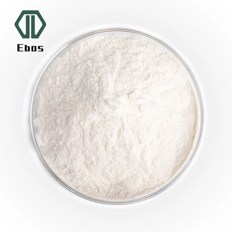 Health Benefits Probiotics Bifidobacterium Bifidum powder