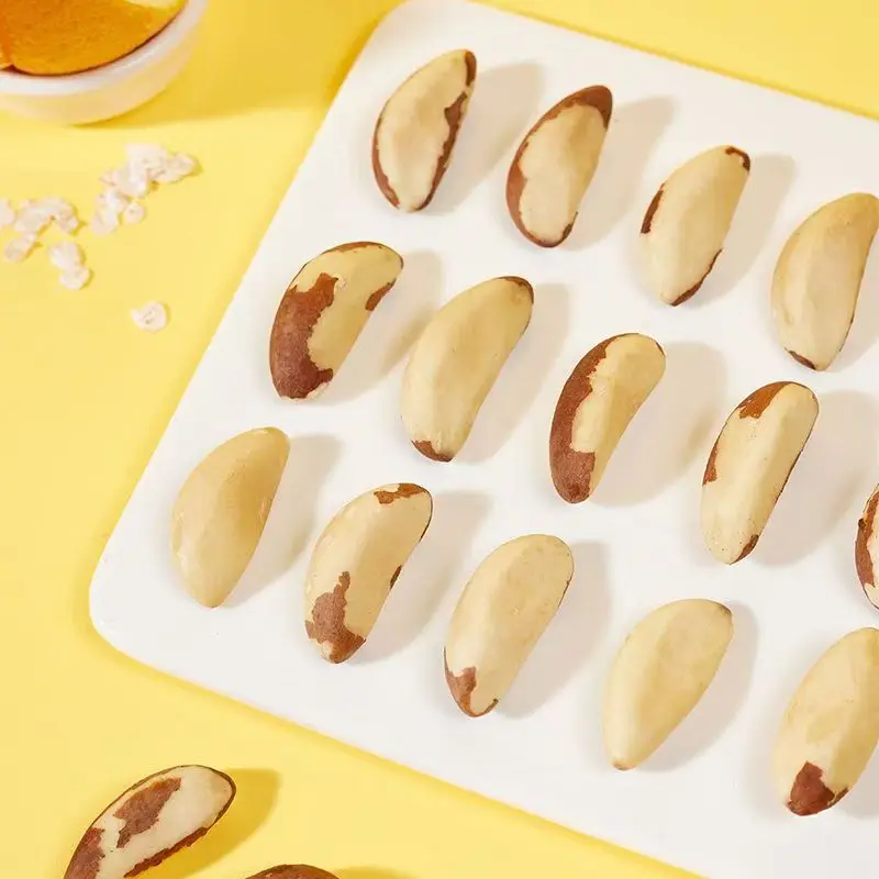 Brazilian Abalone Fruit Premium Quality Brazil Nuts