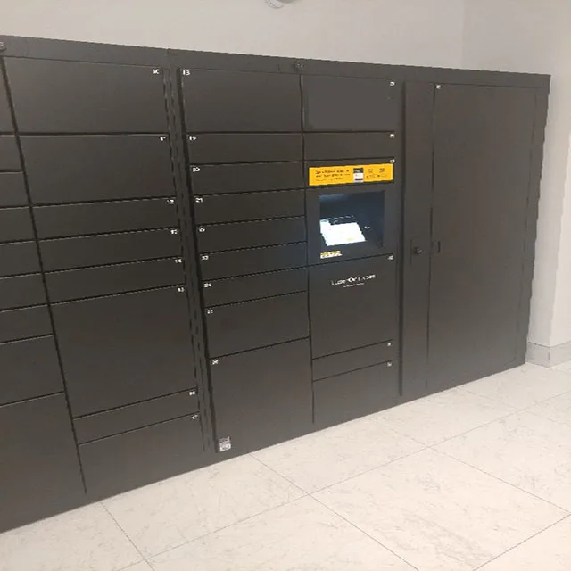 Customized Function  Self Pick up electronic digital  smart cabinet parcel delivery locker for post express