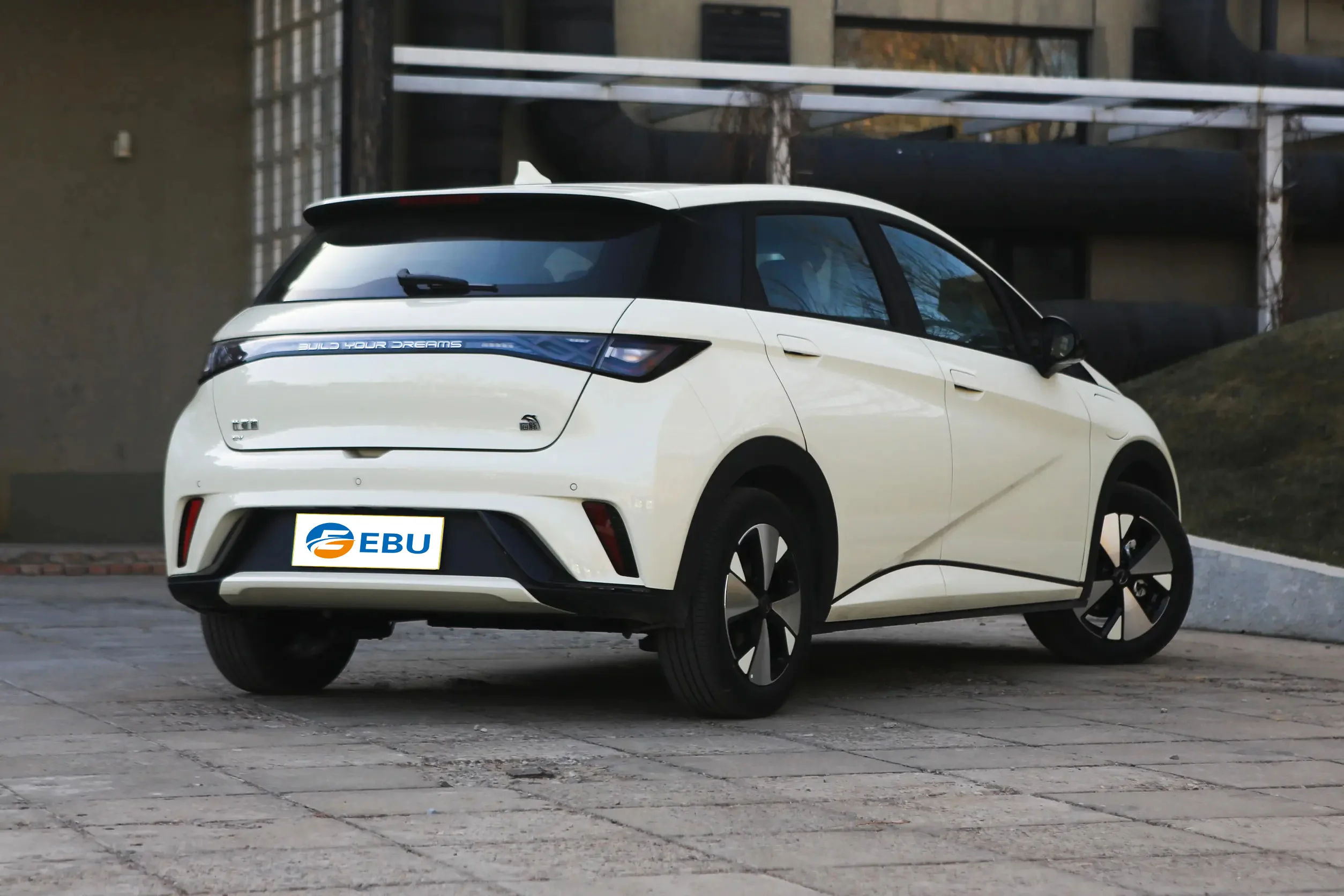 Uzbekistan Russia BYD Dolphin new electric city car High Speed Mini Electric Vehicle