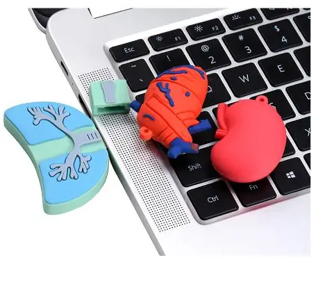 Cartoon Viscera Heart Lung Liver  Usb Flash Drive 2.0 3.0  64gb 32gb 16gb 8gb 4gb Cardiac Usb Stick  Human Organ Pen Drive
