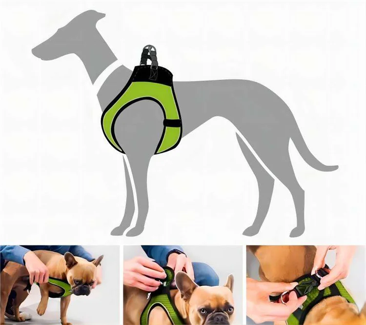 Neoprene Mesh Set Padded Strap Leads Dog Harness Vest Collar Set With Reflective Piping For Dogs