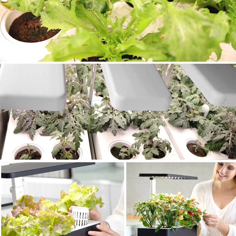 J&C Smart Soil with nutrition 10 pieces/set  peat pot nutrition coconut peat soil block