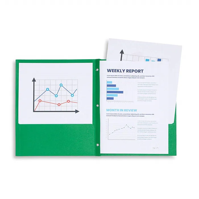 Durable PP Plastic Folder A4 Size File Binder for Business and Office Filing Products