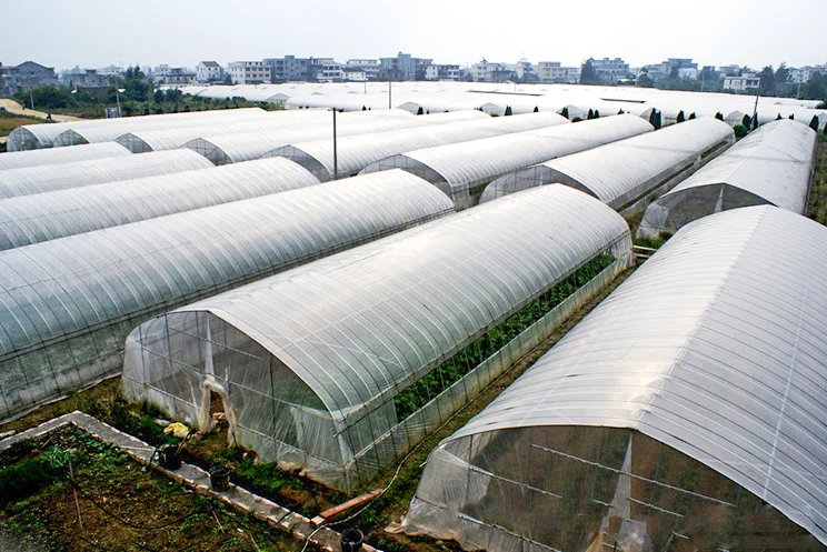 Greenhouse 200micron Plastic Film Pe Film uv resistant uv plastic sheets greenhouse