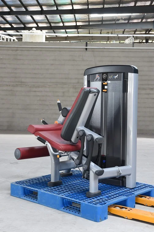 
Lifefit Gym Equipment Pin Loaded Leg Extension For Gym Club 