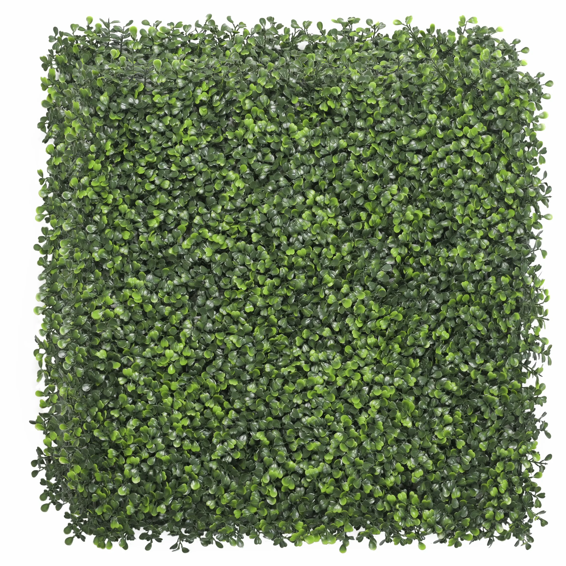 JS Customized Cheap  Faux Boxwood Green Panel Anti-UV Artificial Grass Wall For Outdoor And Home Wall Decoration