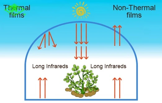 High Tensile Diffusion Reinforced Greenhouse Film For Agriculture