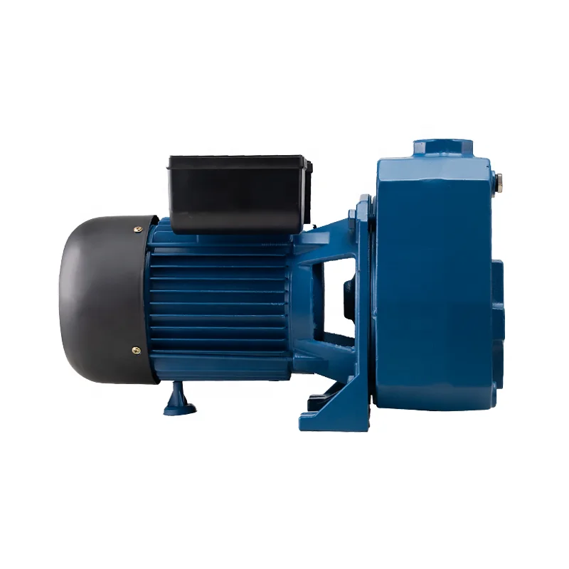 Thailand High Efficiency 1.5Hp 2Hp Dp Series High Pressure Deep Well Self Priming Water Jet Pump