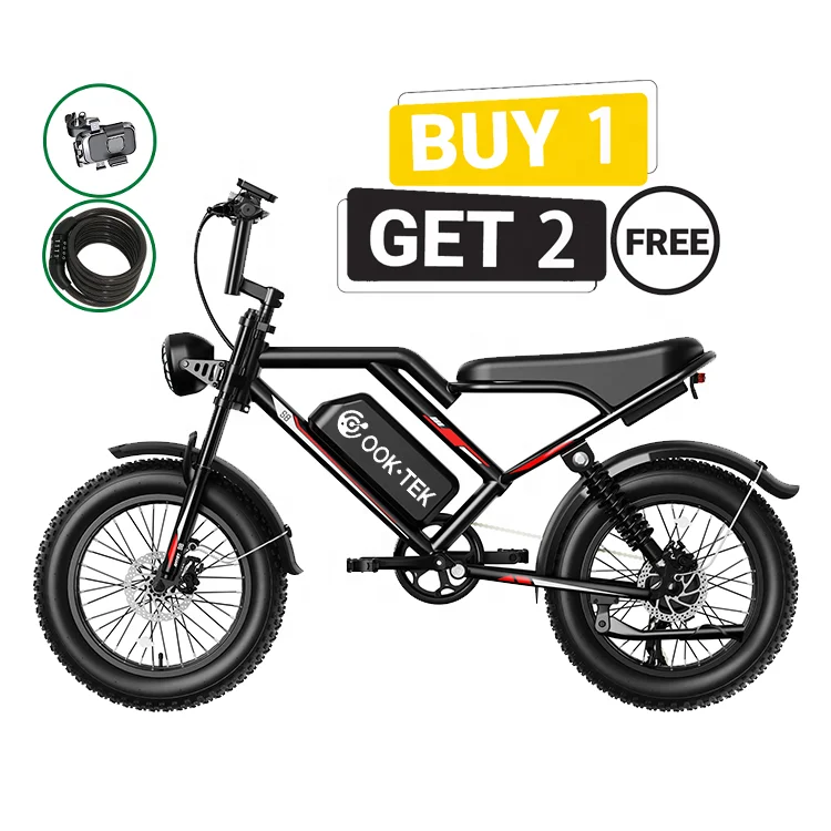 Fatbike electric fat tire tyre bike electric mountain bike full suspension off-road adult e electric dirt bike e-bike dirtbike
