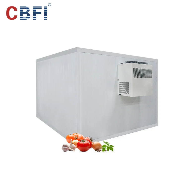 Industrial Cool Rooms and Freezer Room Blast Freezer Container Walk in Refrigeration Unit Cold Storage