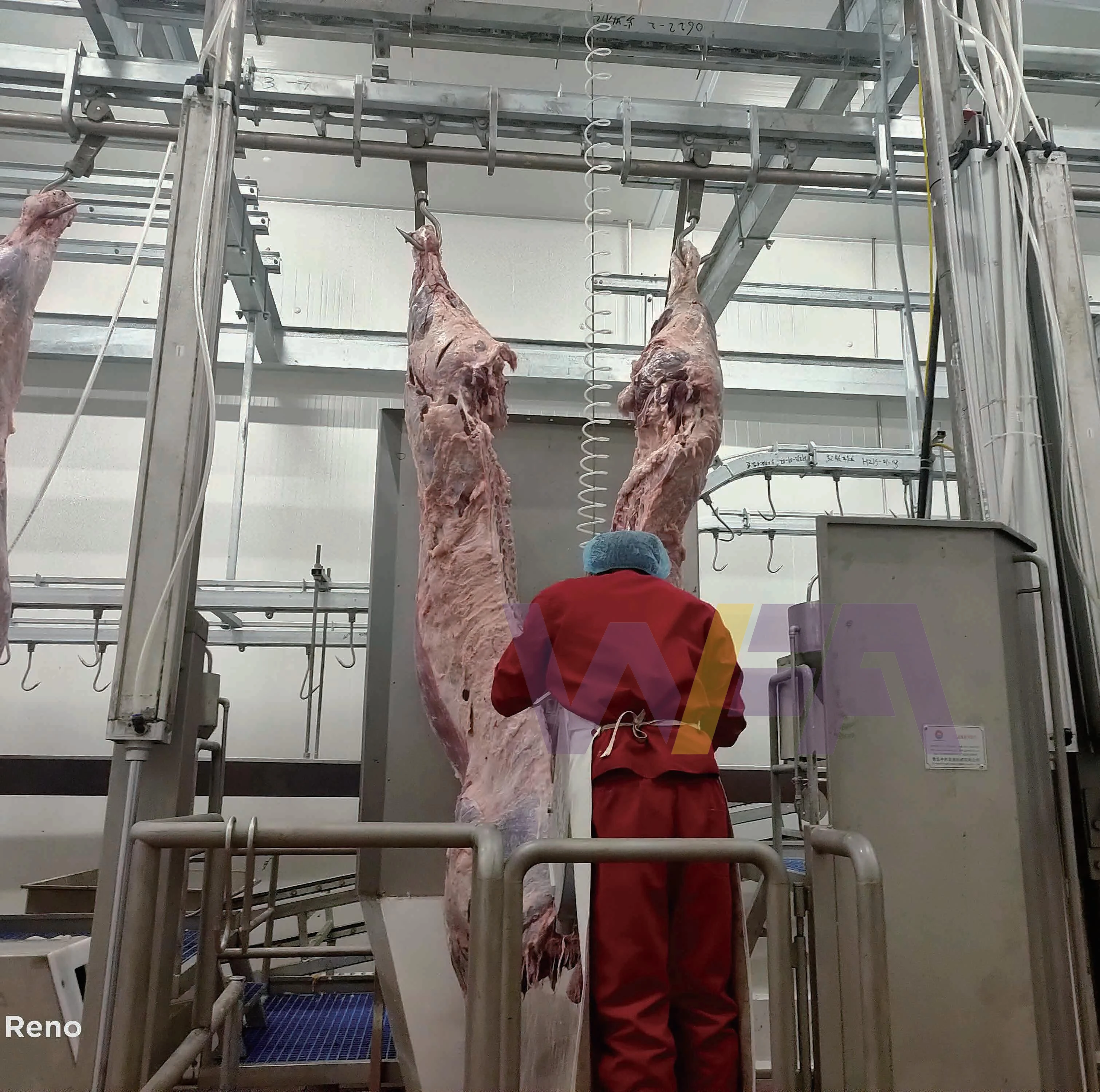 Halal Cow Donkey Slaughtering Machinery With Quality Meat Processing Cattle Butcher Machine