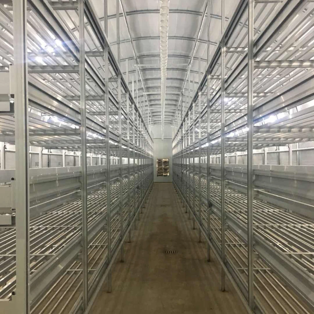Agricultural mushroom greenhouse mushroom grow house crystal mushroom house