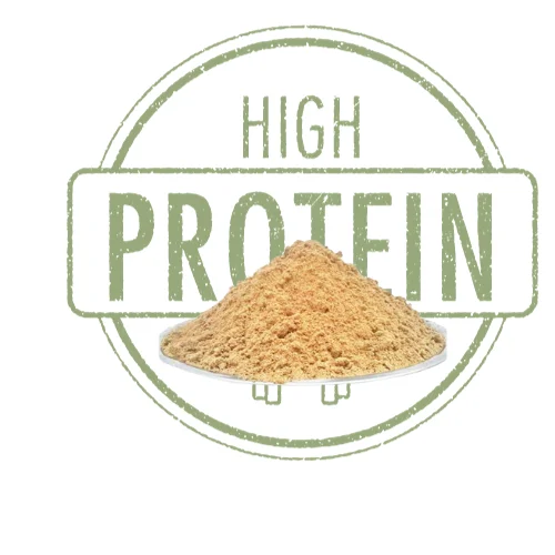 ADAM High-Protein Fish Meal Powder Dried Soybean Recommended for Animal Feed Cheap Price with Large Quantity from Vietnam
