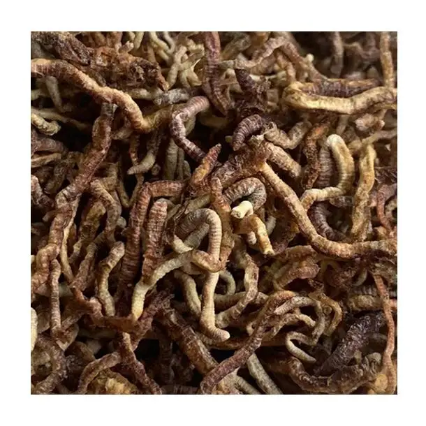 Freeze Dried Earthworm Fish Lures Edible Earthworms