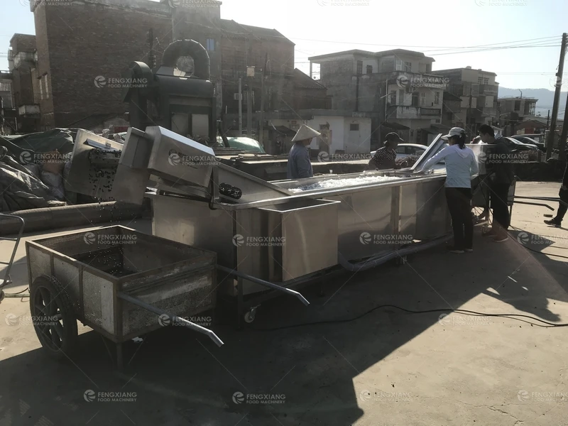 Gorgon fruit Small Little Fruits Vegetable Washing Machine