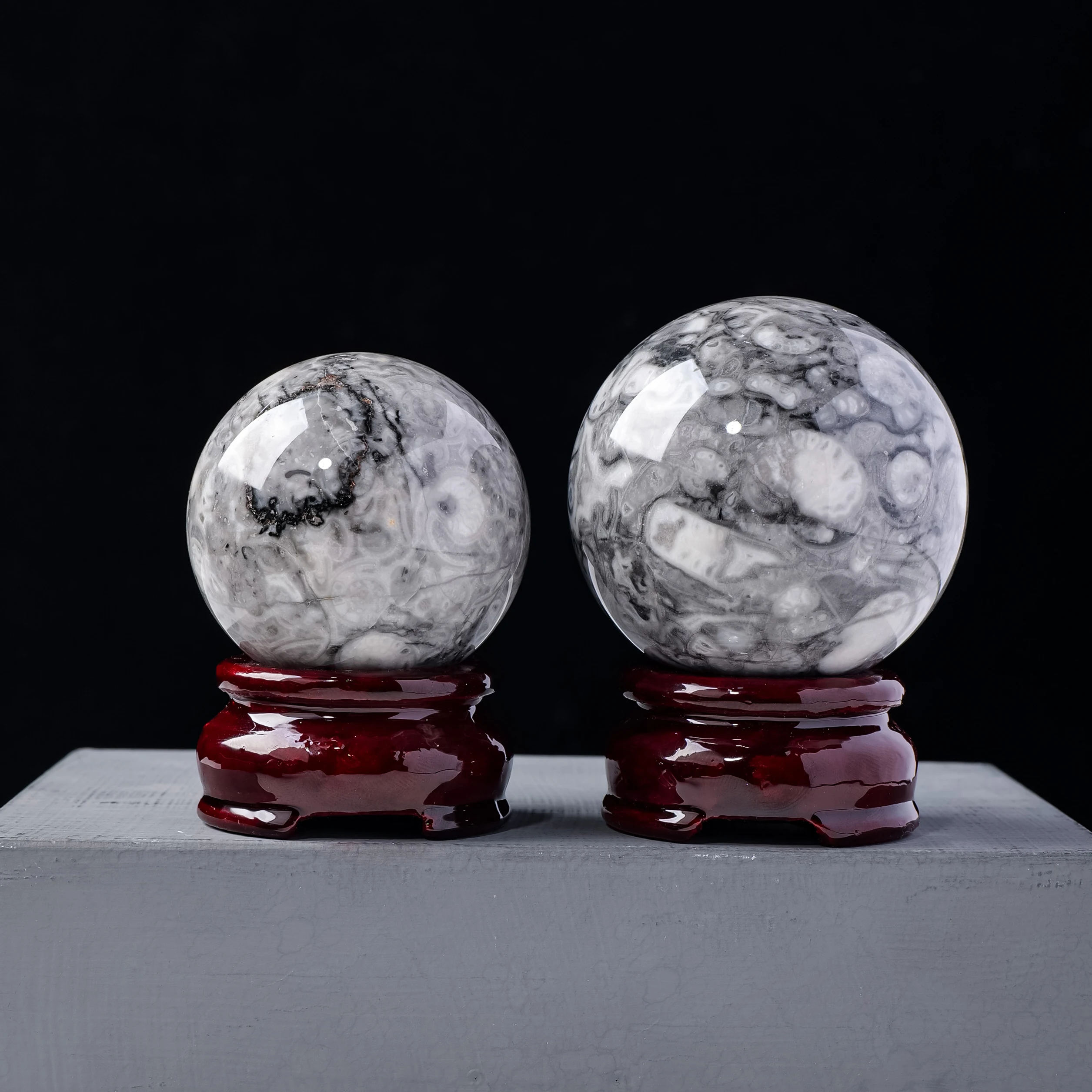 Wholesale Natural Healing Crystal Ball Polished Orthoceras Fossil Sphere For Souvenir Gift