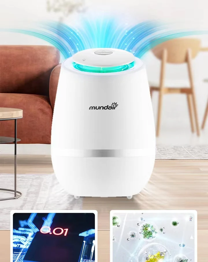Air Purifier Manufacturer Air Purifier 220v Air Cleaner Home
