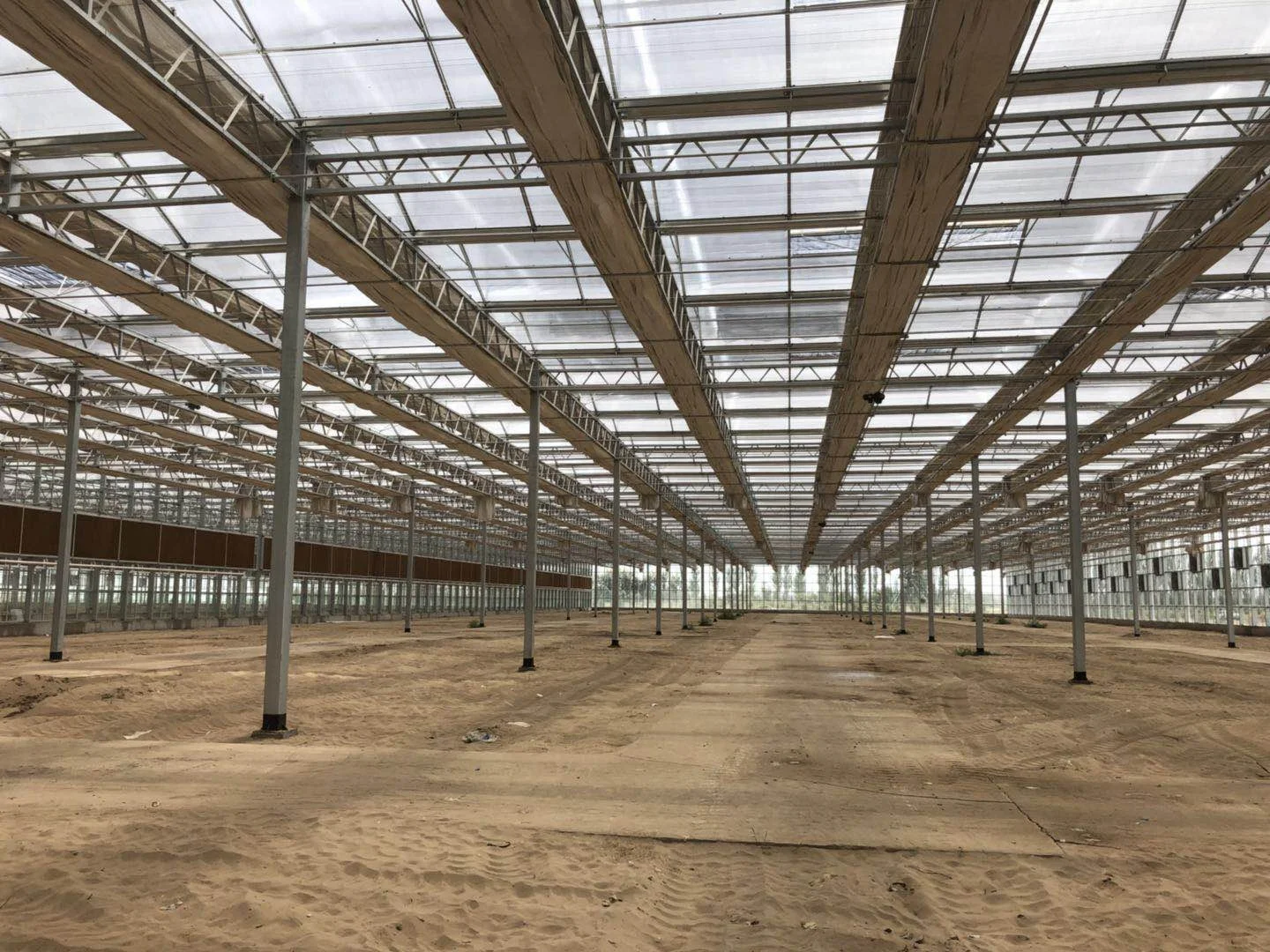 Free Sample 4mm Transparent Roofing Sheet