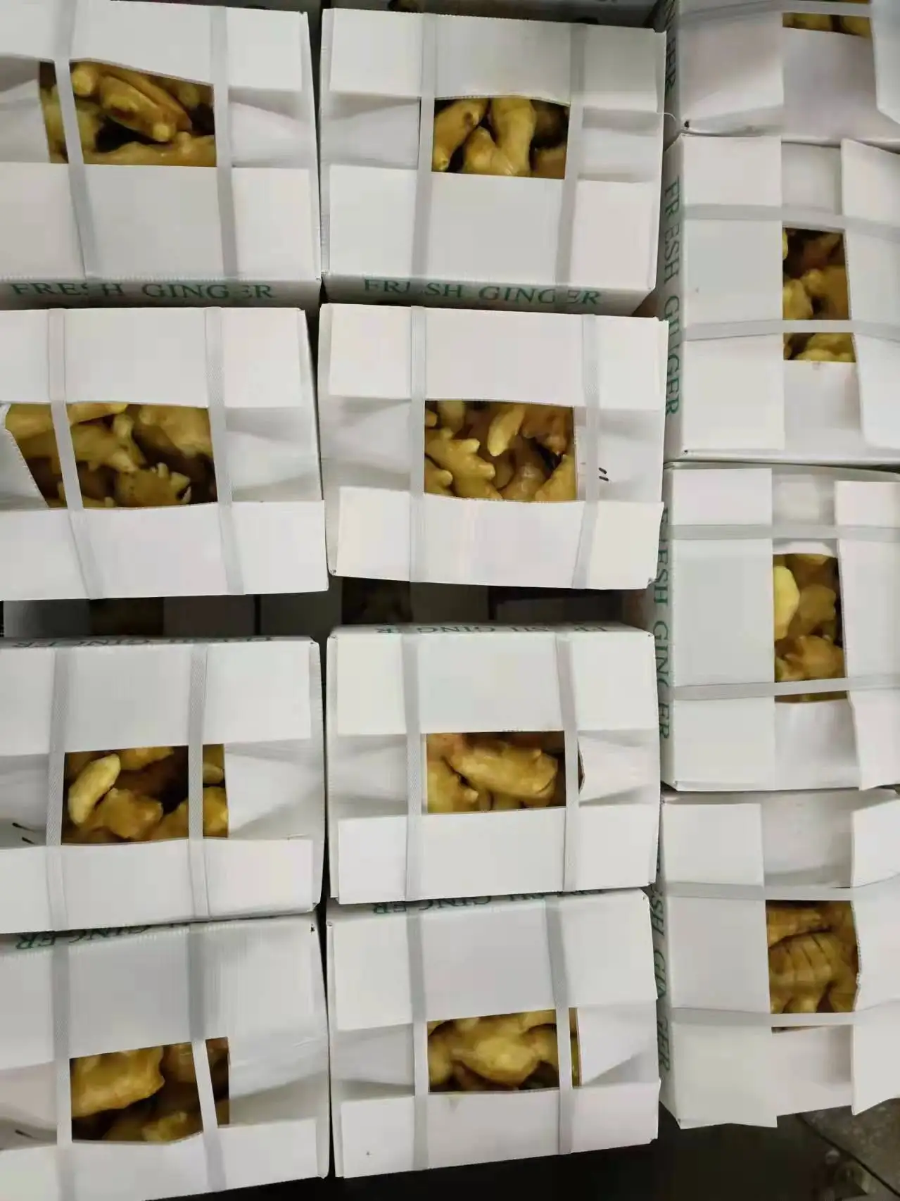 hot sale Chinese fresh ginger water washed fresh ginger factory price fresh ginger