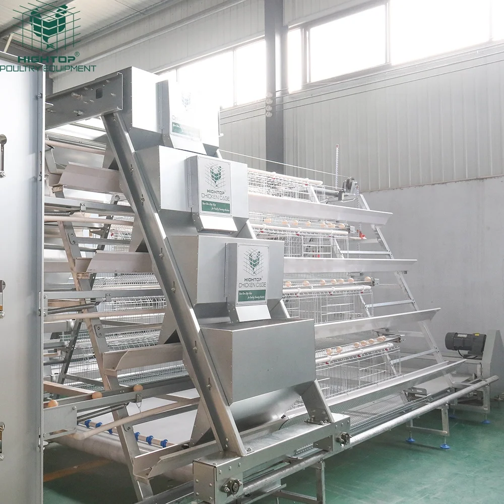 Factory Price Automatic Egg Chicken Poultry Farming A Type Chicken Layer Cages 3 Tier 4 Tier Battery Layer Farm Cage For Sale