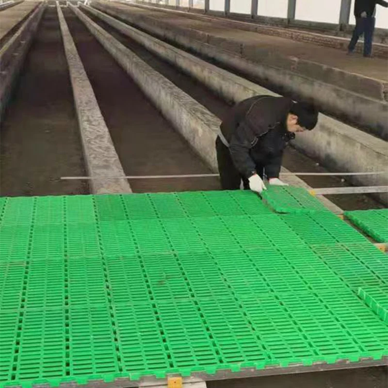 sheep plastic slat floor for goat farm in pakistan