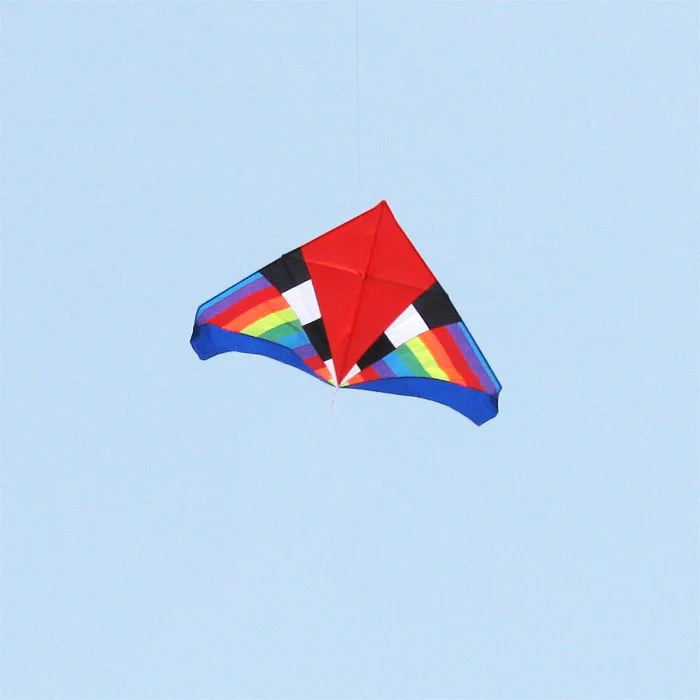 Professional Delta кайты for fun