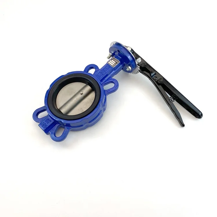 Mandiwi 2 4 Inch Ductile Iron Cast Iron Wafer Butterfly Valve for Industry