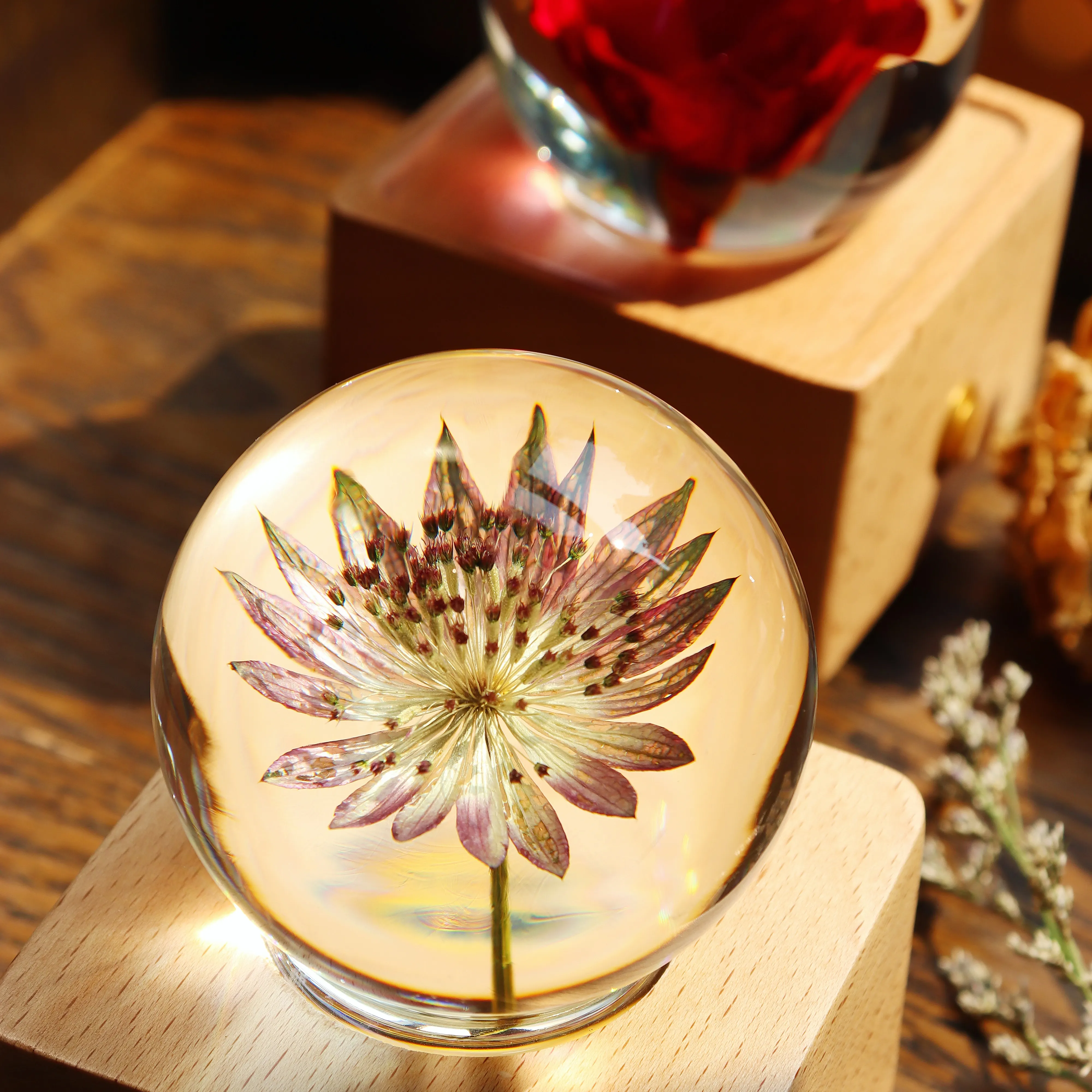 Real Fresh Flower Crystal Ball Wooden Base Design Music Box With LED Night Light For Birthday Valentine Christmas New Year Gift