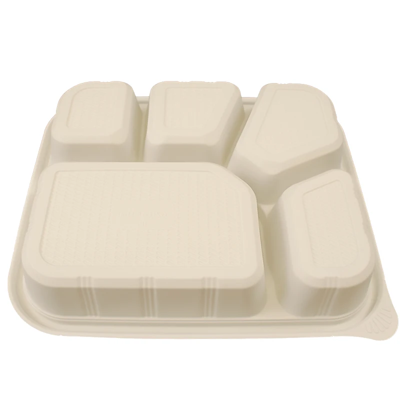 CPla Food Container Manufacturer/Biodegradable 5 Compartment Food Container Disposable