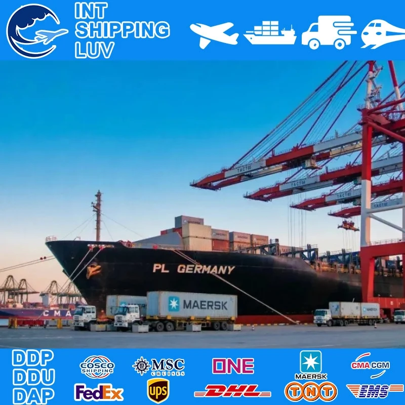 Global Sea Shipping Forwarder Sea Freight Shipping from China to Dubai \/ Saudi Arabia