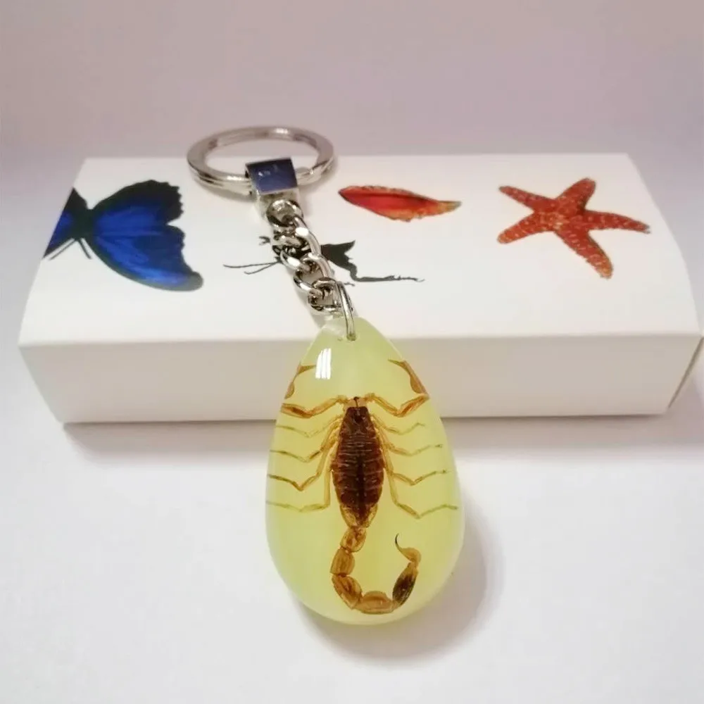 Real Insect Lucite Resin Keychain Water Drop-Luminous Sporpions Key Chain