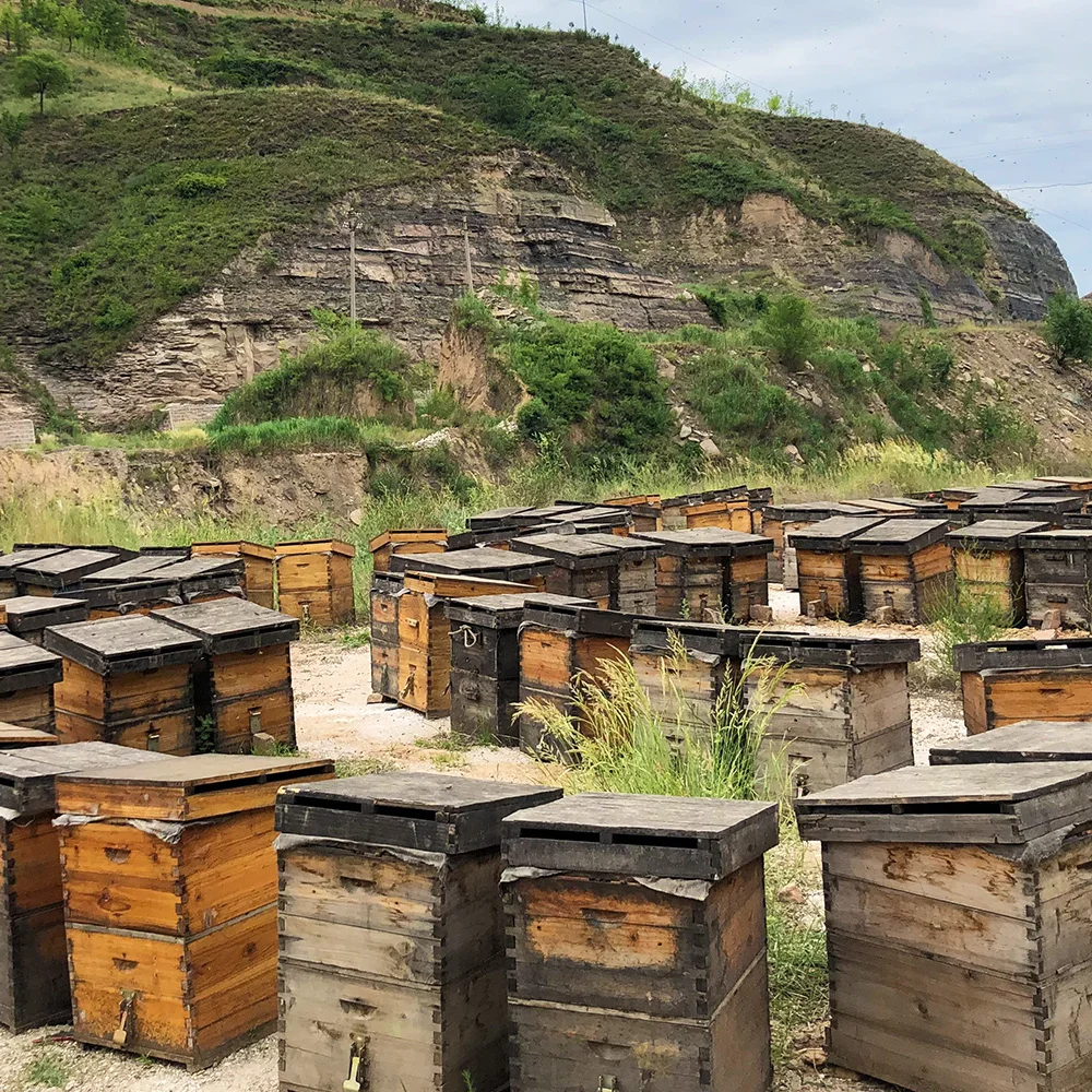 Sugar Free HALAL Certification Pure Bee Linden Honey