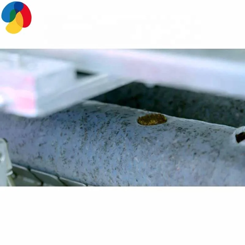 Семена грибов для продажи, выращивание грибов shiitake