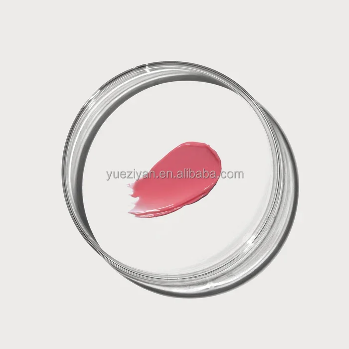 Custom Logo Vegan Lip Care Kit Natural Organic Nourishing Moisturizing Butter Tinted Lip Balm Set